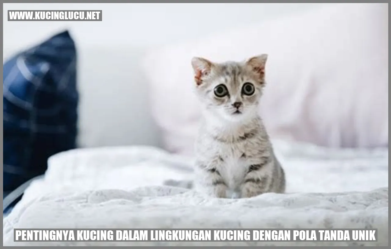 Kucing dengan Pola Tanda Unik