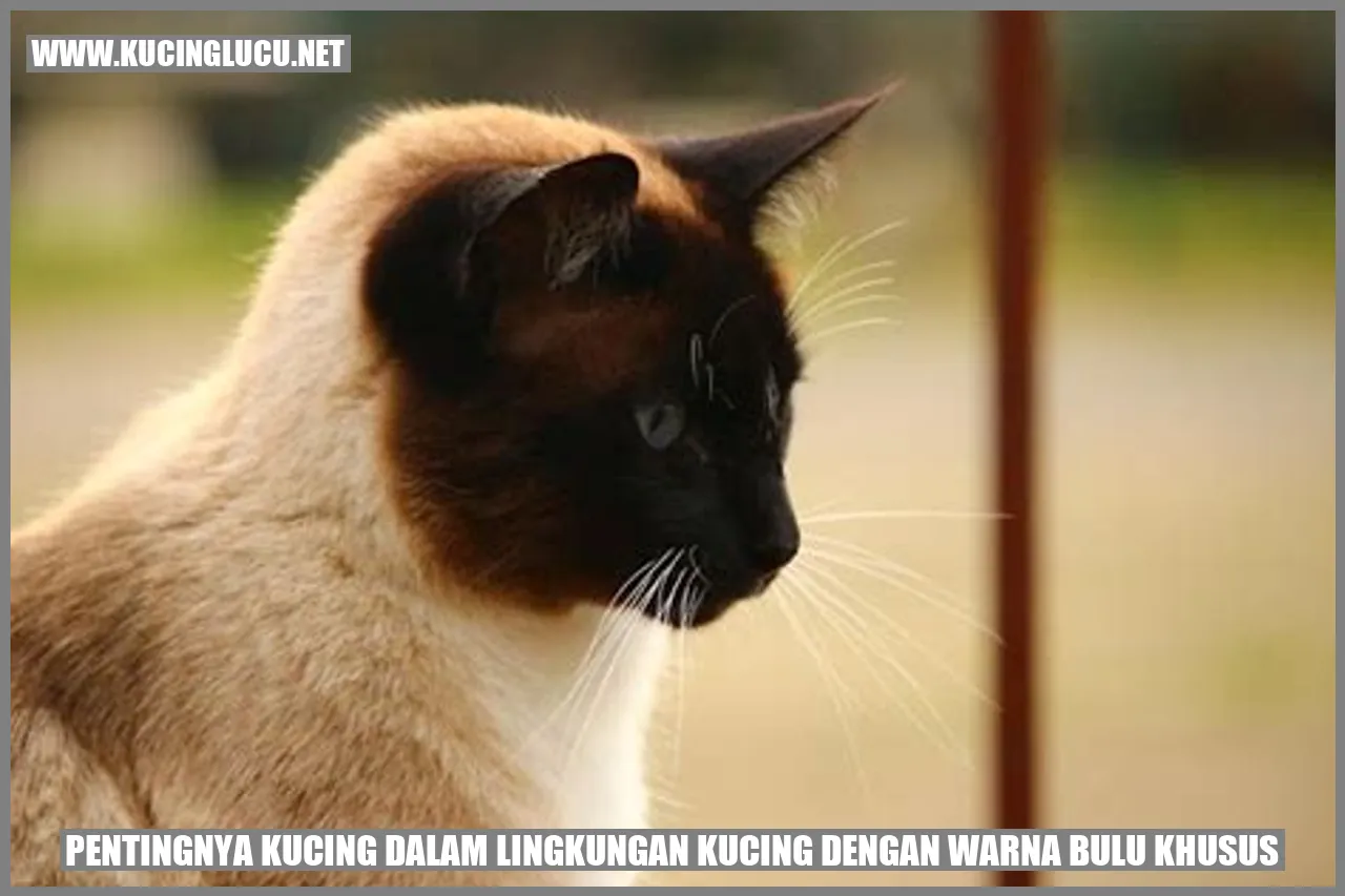 Kucing dengan Warna Bulu Khusus