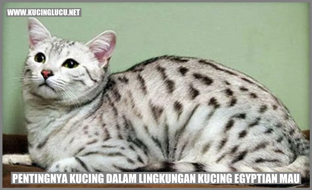 Gambar Kucing Egyptian Mau