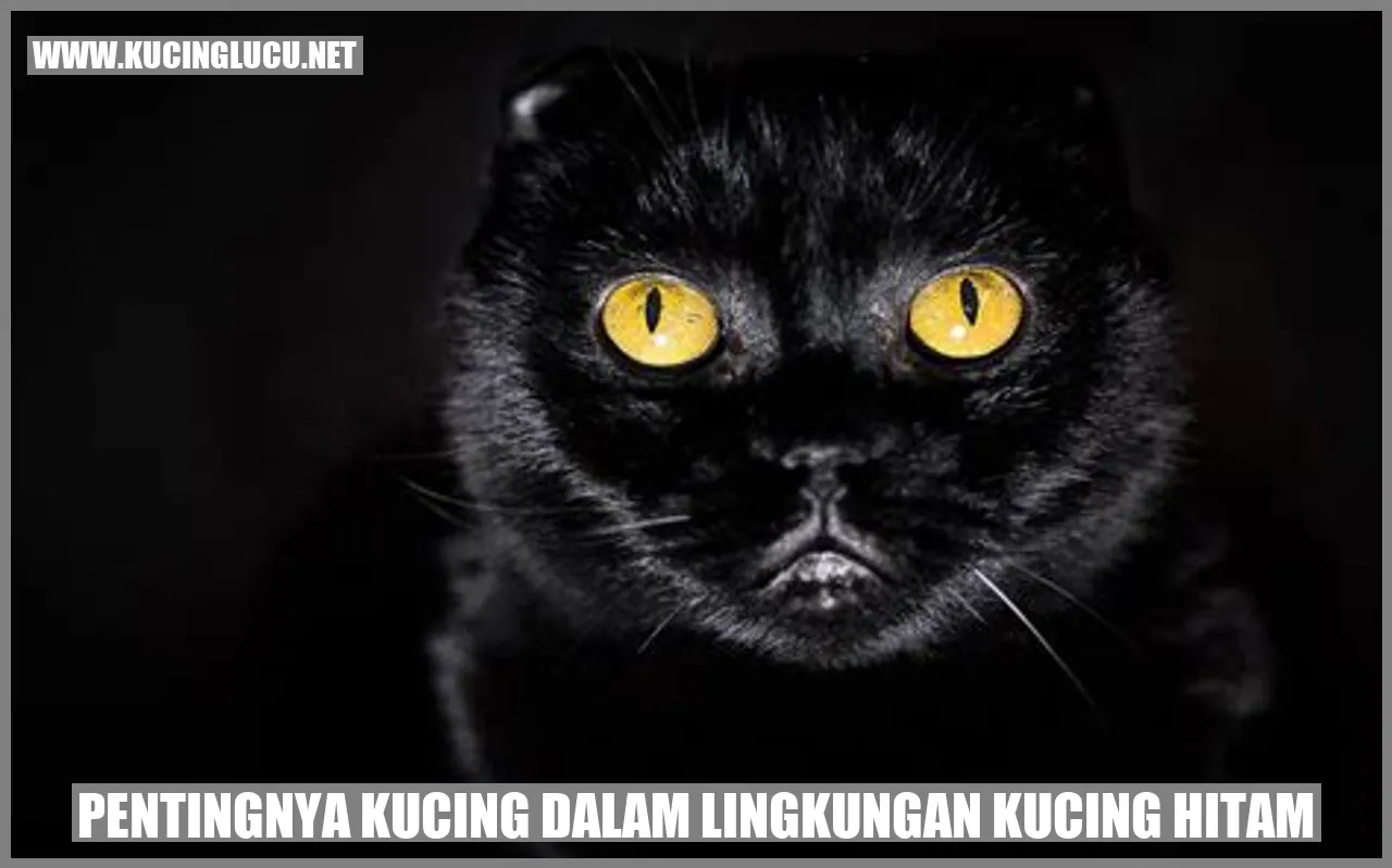 Pentingnya Kucing dalam Lingkungan Kucing Hitam