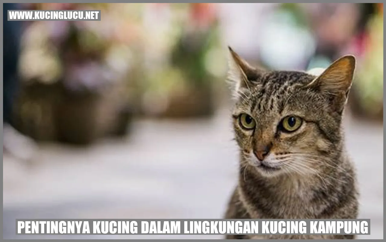 Kucing Kampung