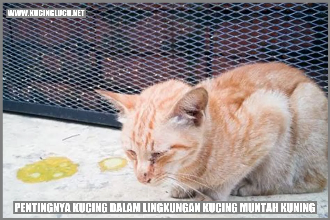 Kucing lucu muntah kuning