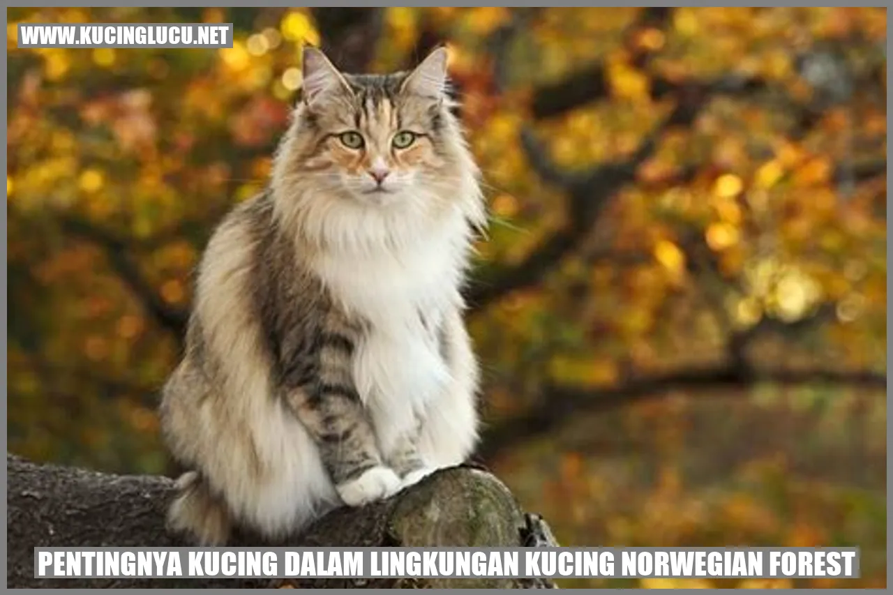 Kucing Norwegian Forest