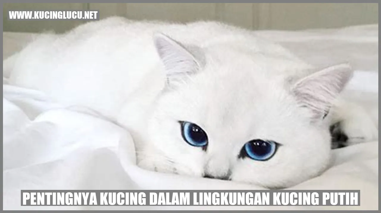 Gambar kucing putih