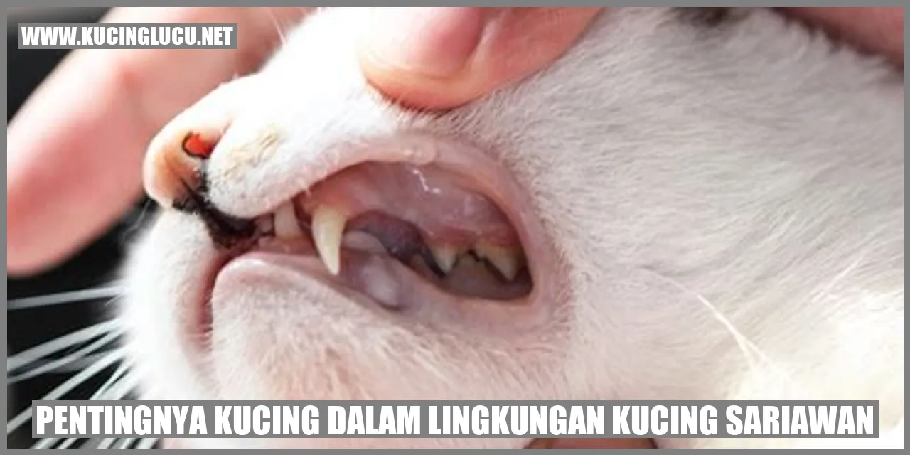 Kucing dalam Lingkungan