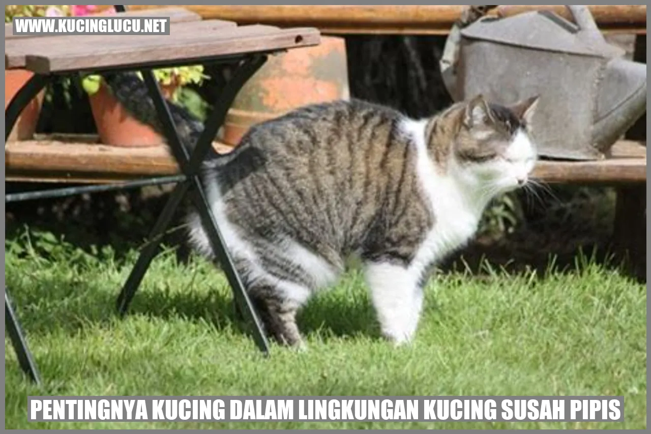 Kucing Menggambar ❤️