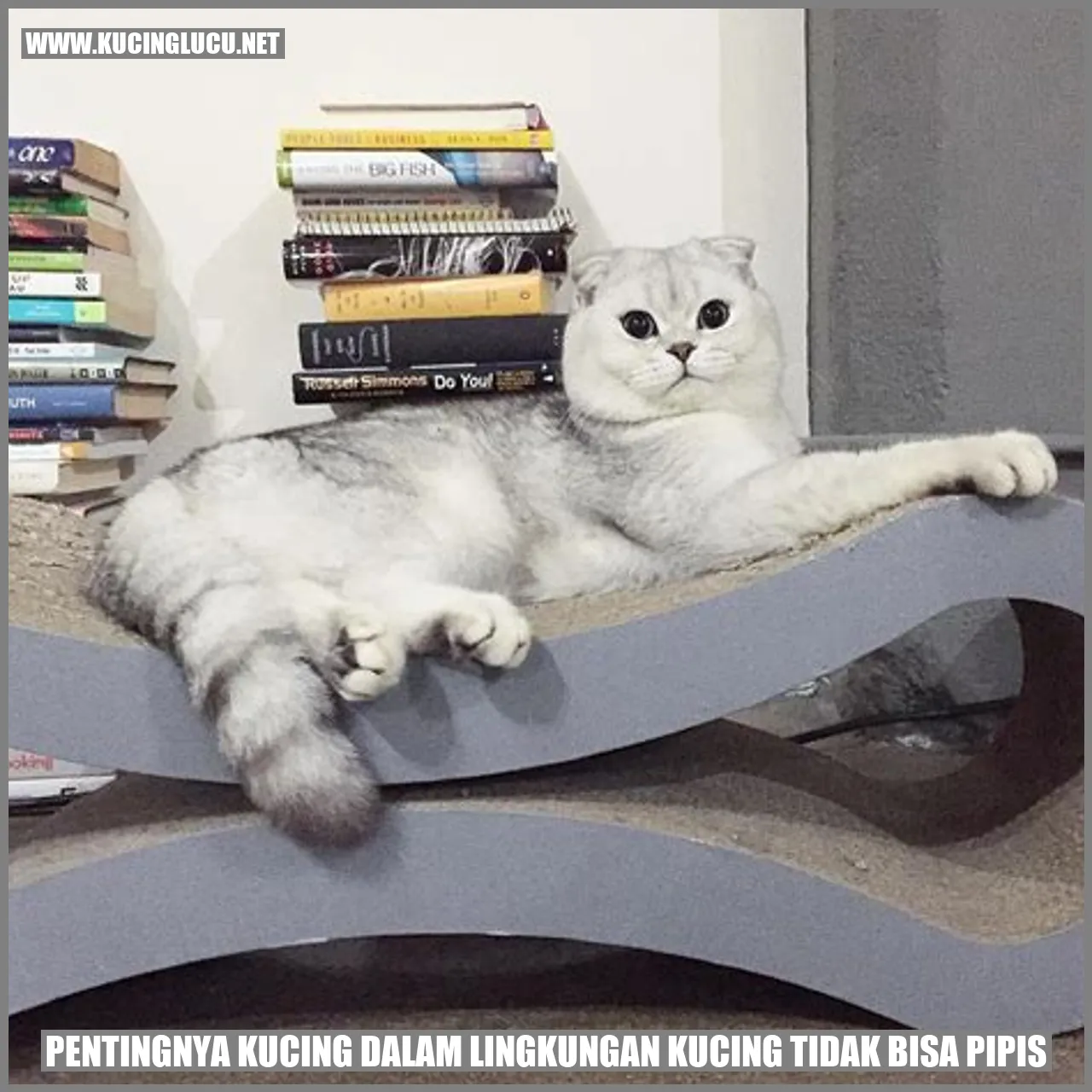 Peran Kucing dalam Lingkungan