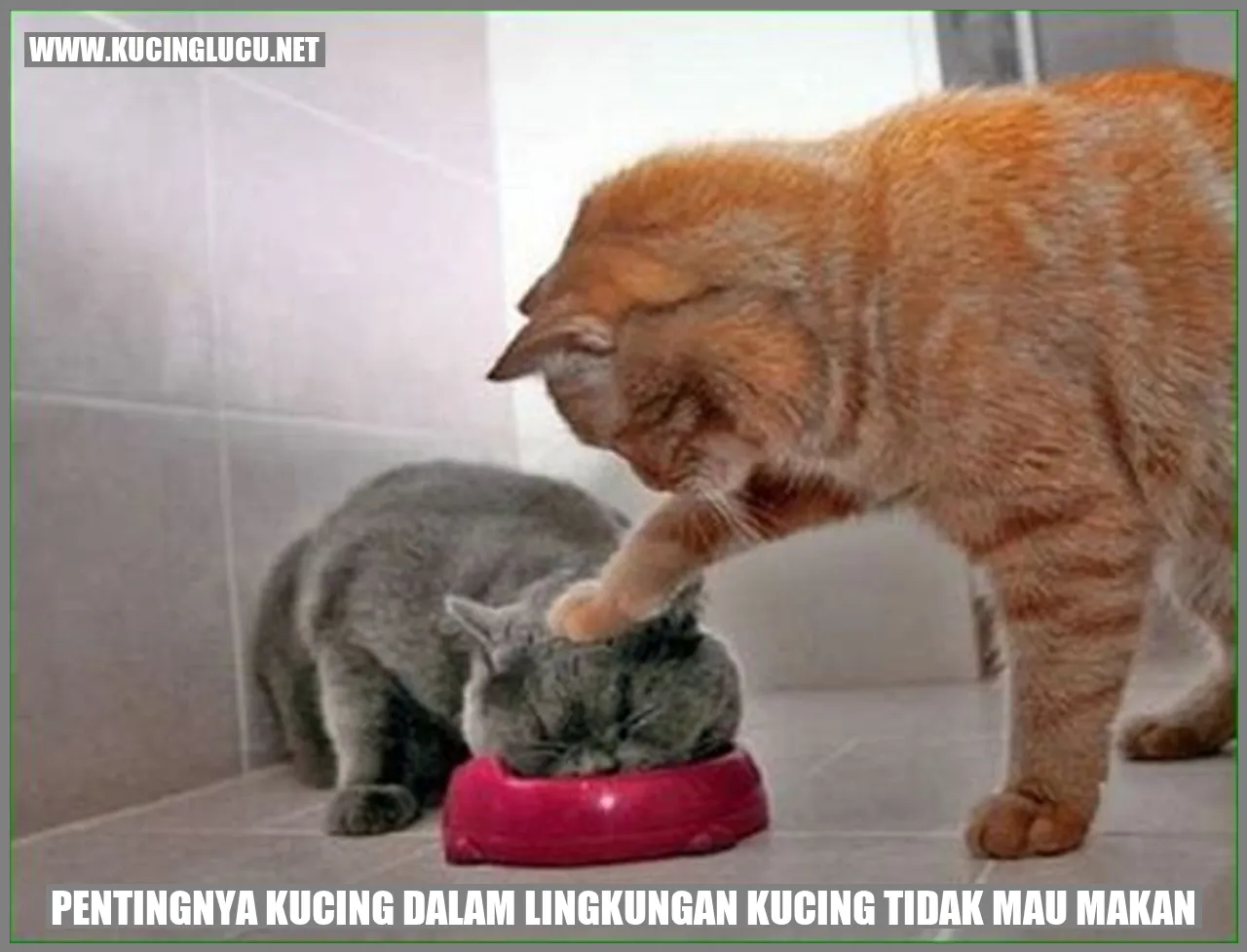 Pentingnya Kucing dalam Lingkungan