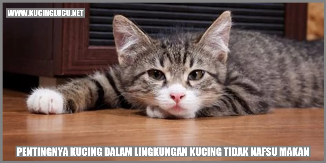 Kucing yang tidak nafsu makan