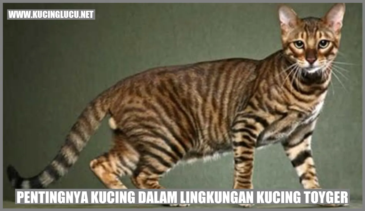 Pentingnya Kucing dalam Lingkungan Kucing Toyger