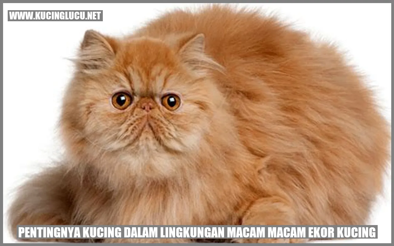 Gambar seekor kucing yang menggemaskan