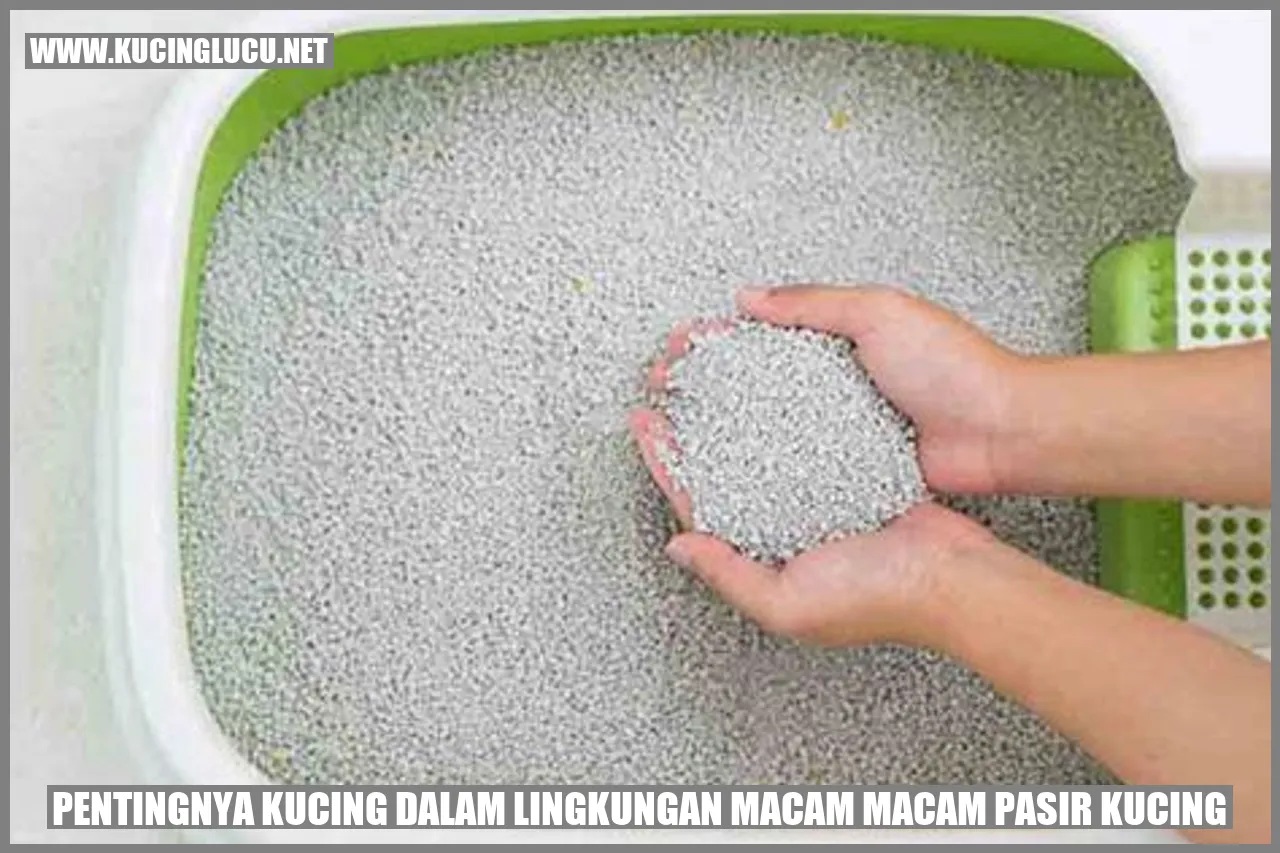 Kucing mengintip dari kotak pasir