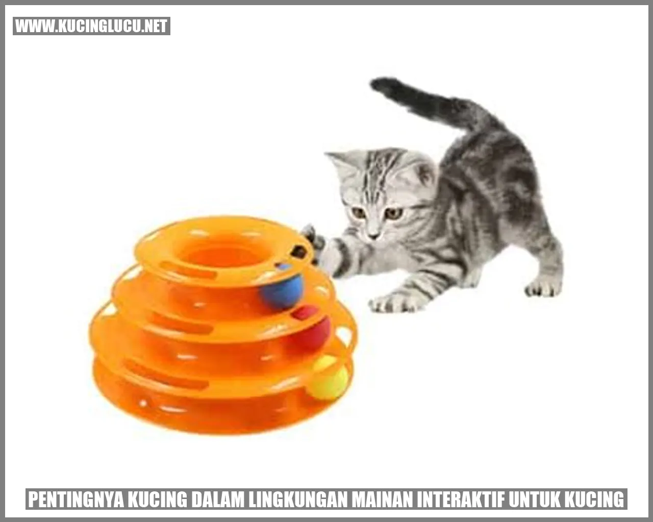 Gambar Kucing Bermain