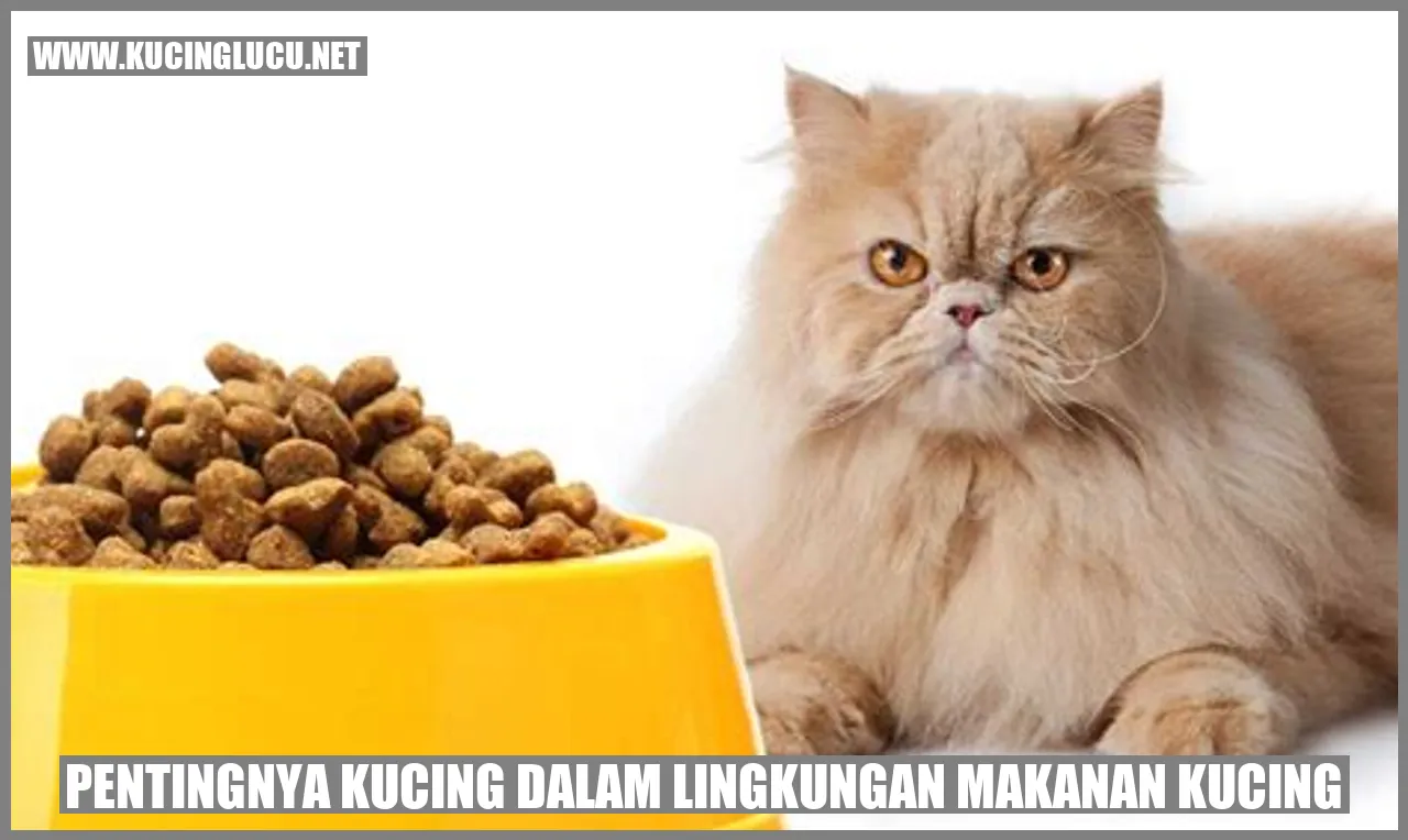 Kucing dan makanan kucing