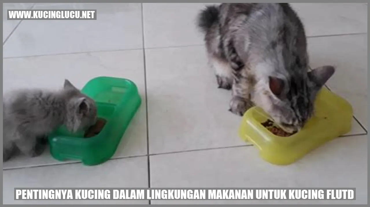 Kehadiran Kucing dalam Pemenuhan Kebutuhan Makan untuk Kucing FLUTD
