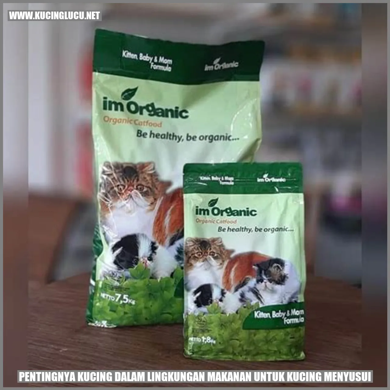 Pentingnya Kucing dalam Lingkungan Makanan untuk Kucing Menyusui