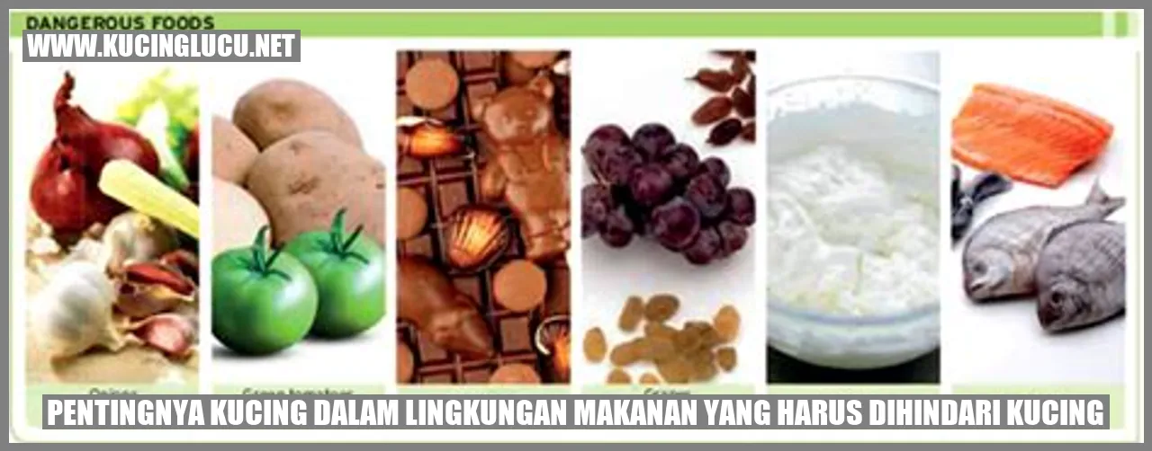 Pentingnya Kucing dalam Lingkungan Makanan yang Harus Dihindari Kucing