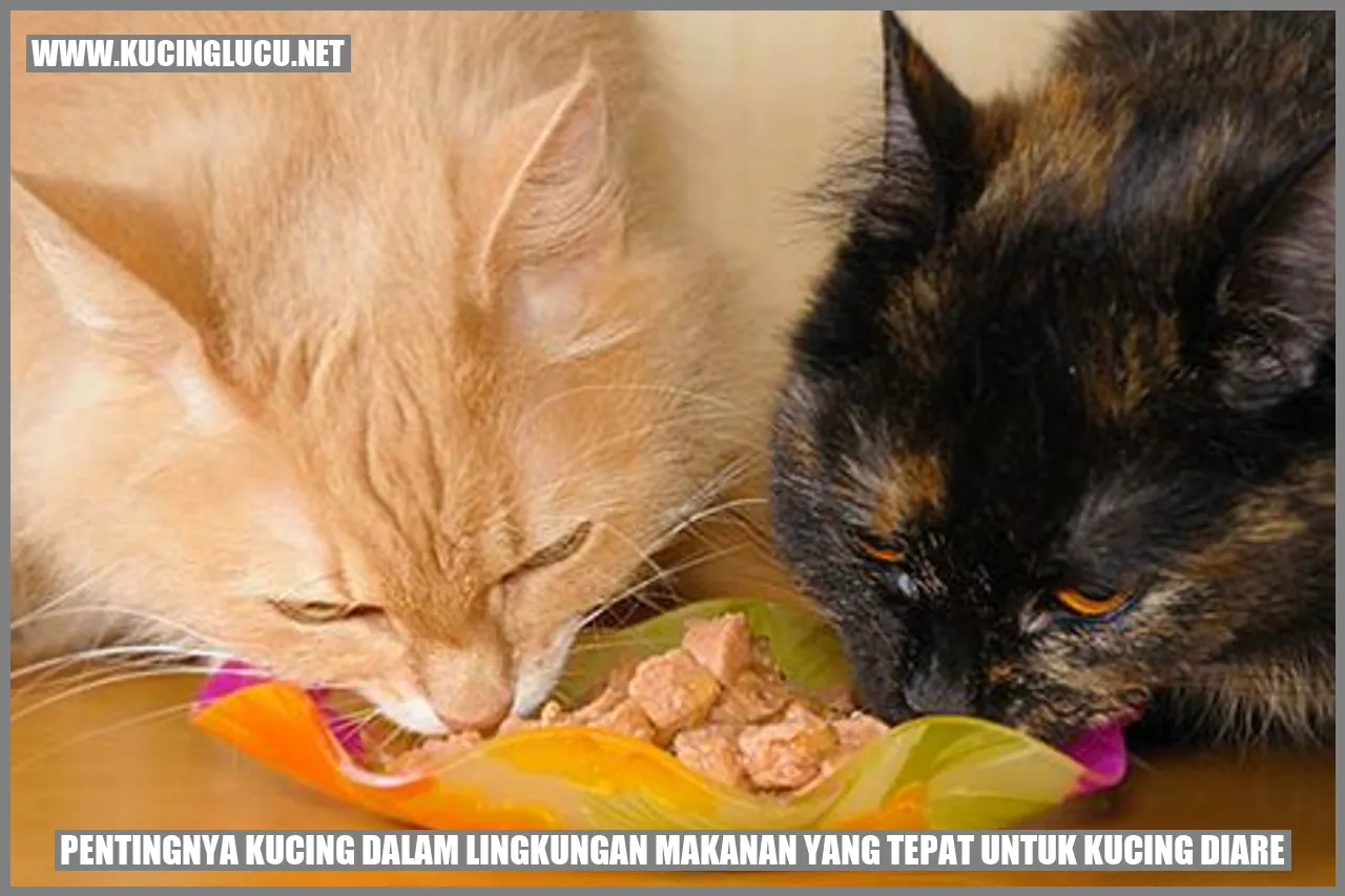Gambar Kucing
