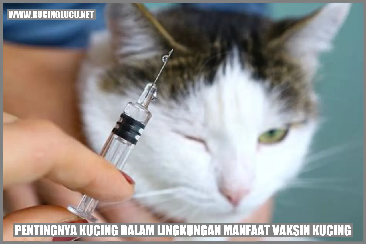 Kucing terlindungi dengan melakukan vaksinasi