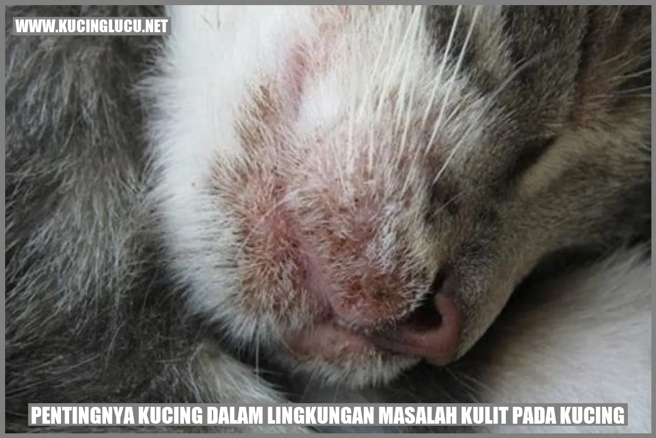 Gambar kucing yang menggemaskan