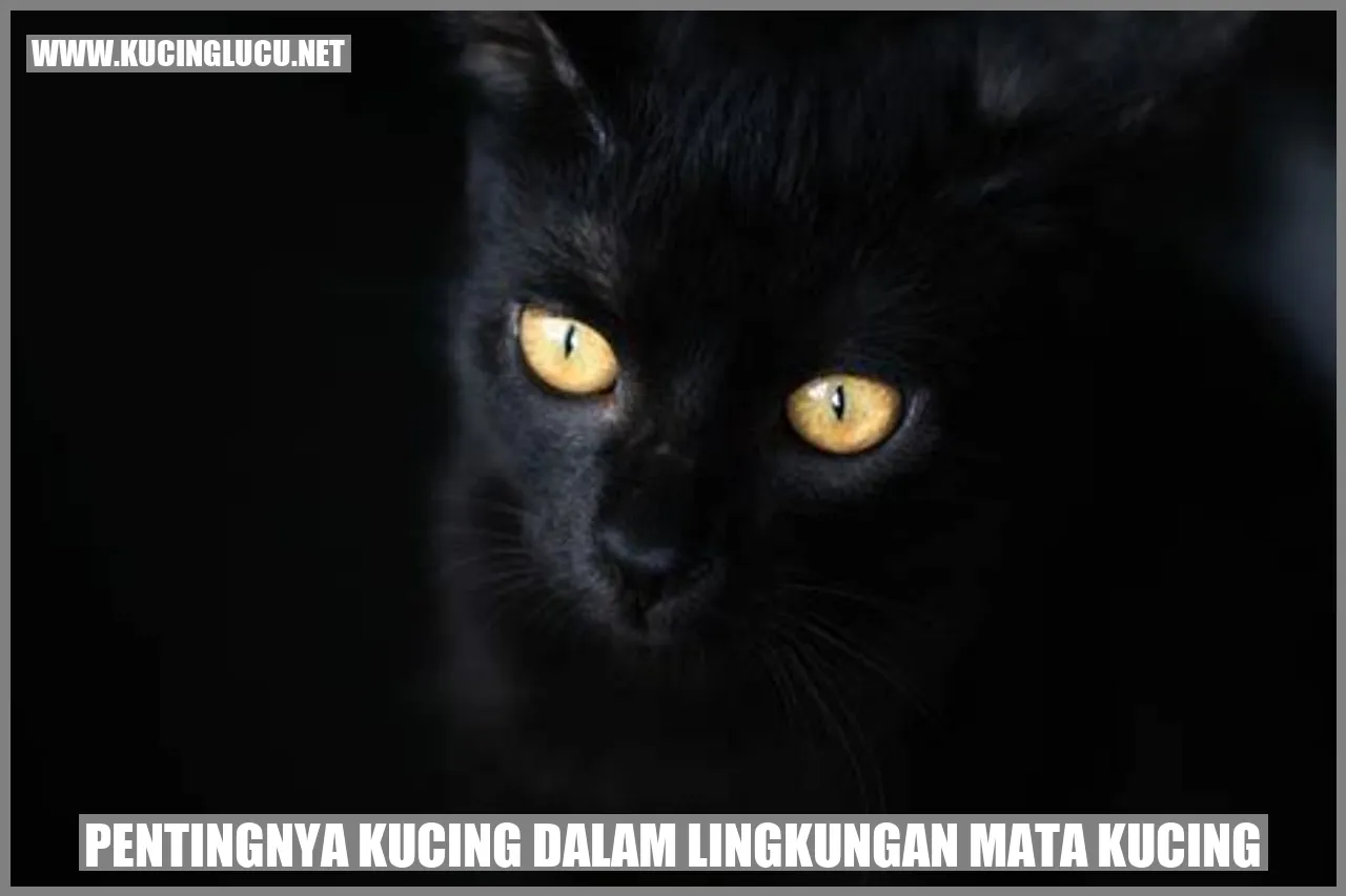 Pentingnya Kucing dalam Lingkungan Mata Kucing