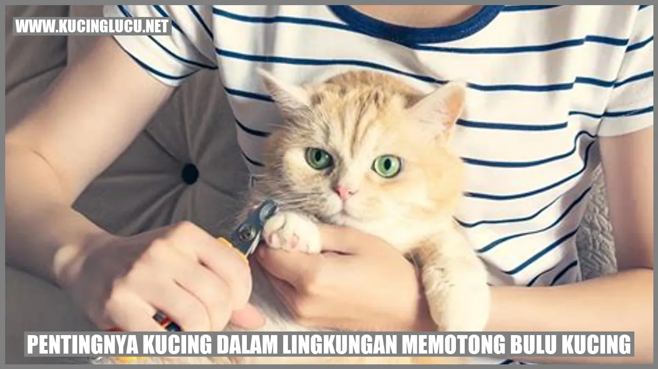 Kucing sedang memotong bulu