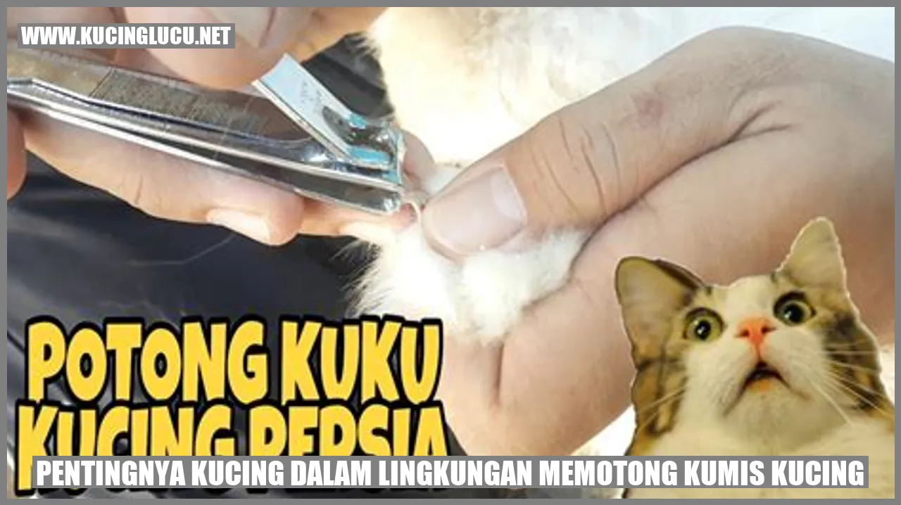 Kucing memotong kumis