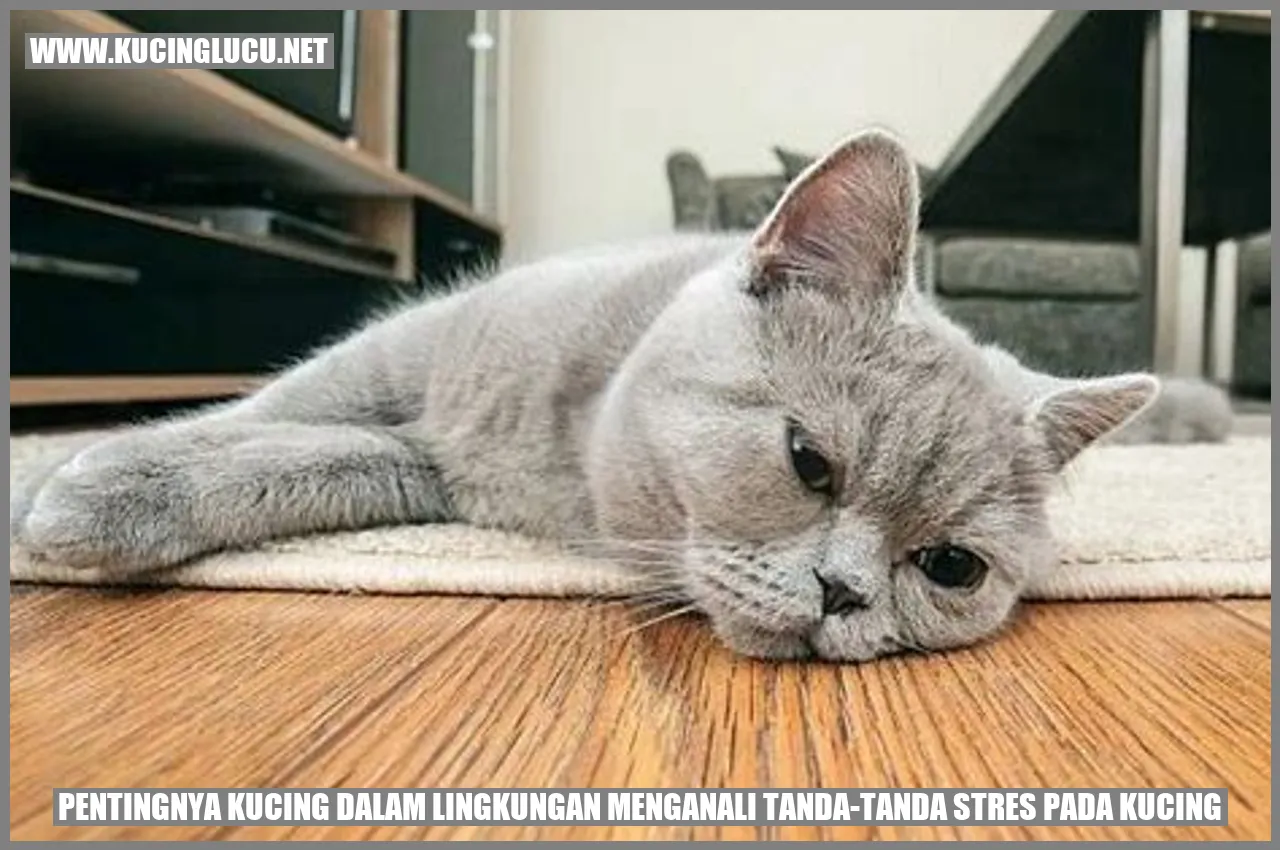 Kucing stres