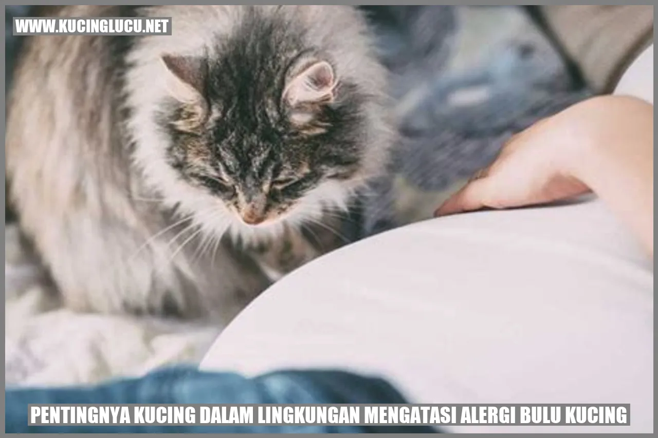 Gambar Kucing