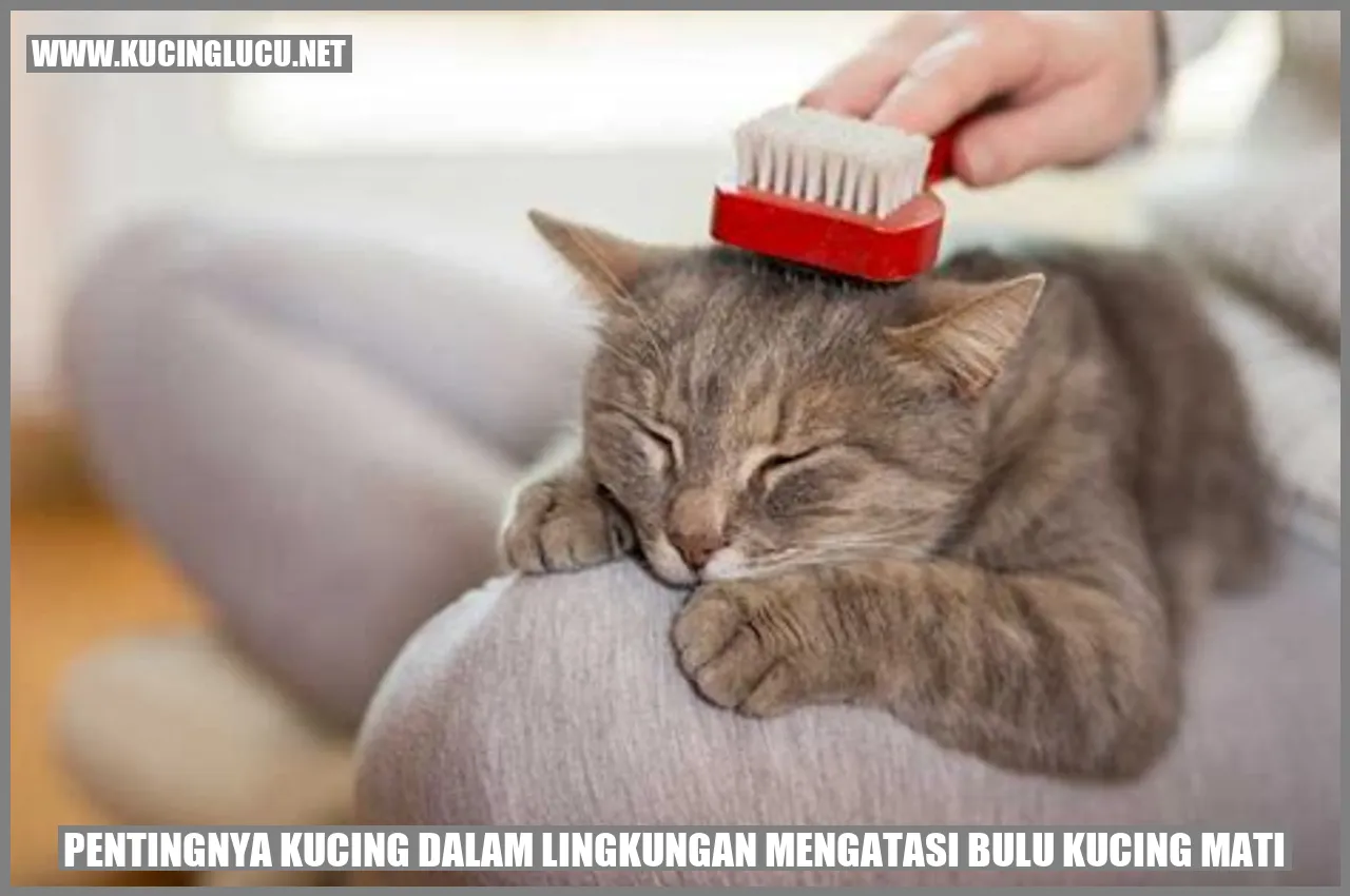 Bulu kucing mati