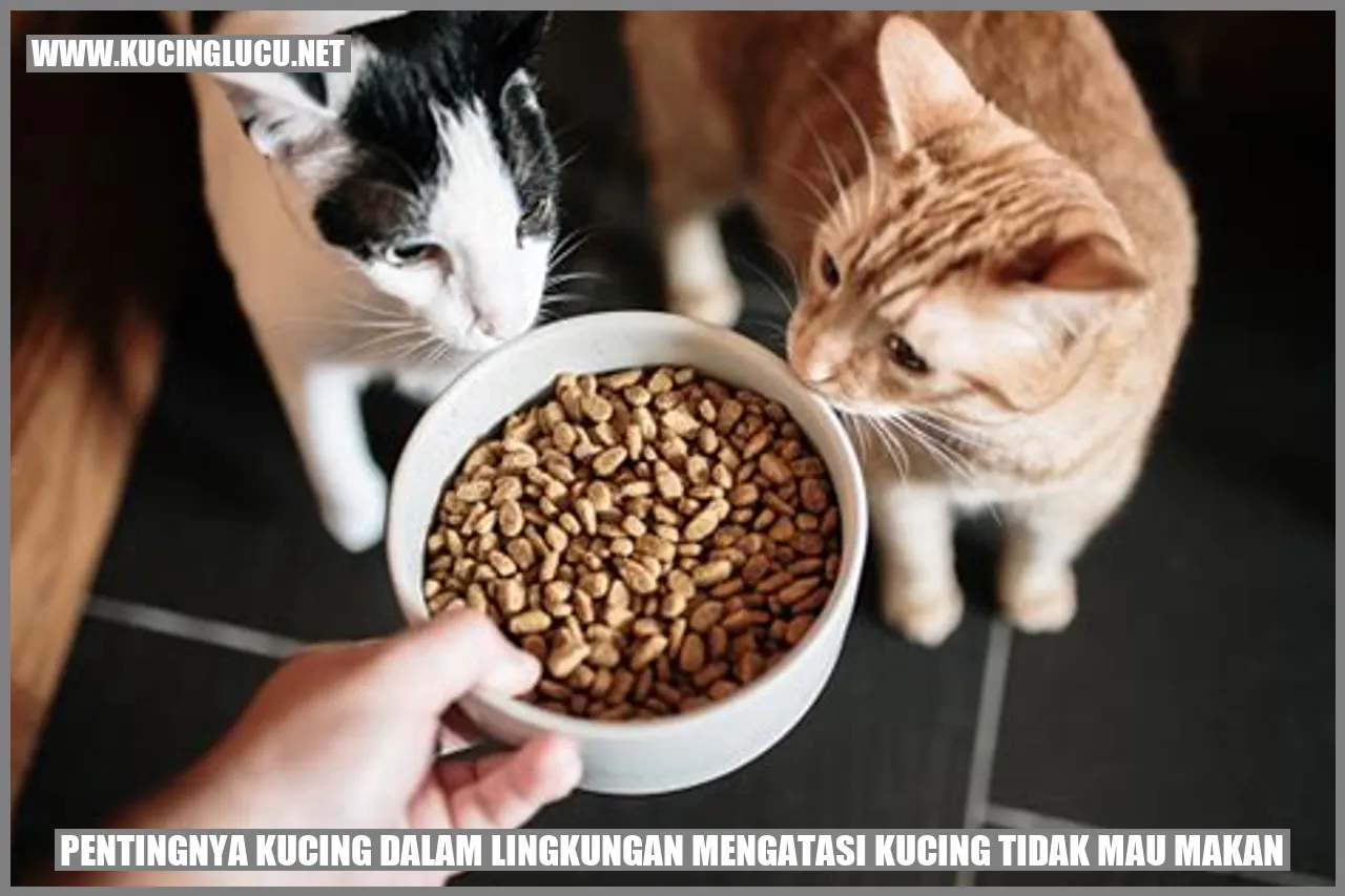 Pentingnya Kucing dalam Lingkungan