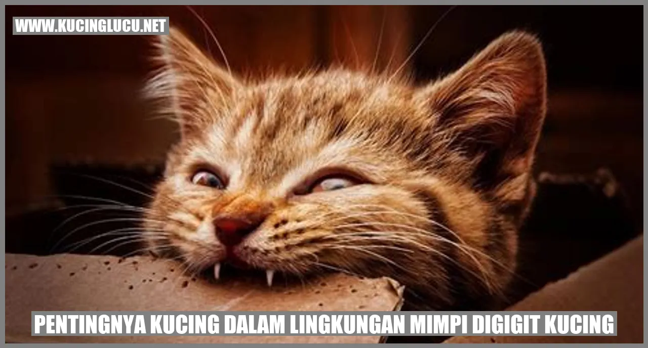 Kucing menggigit (Gambar oleh Bing)