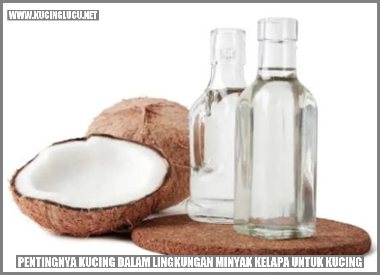 Gambar Kucing