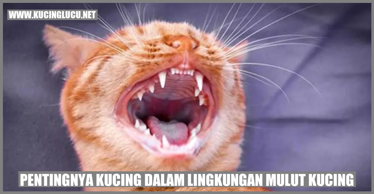 Kucing dalam Lingkungan Mulut Kucing