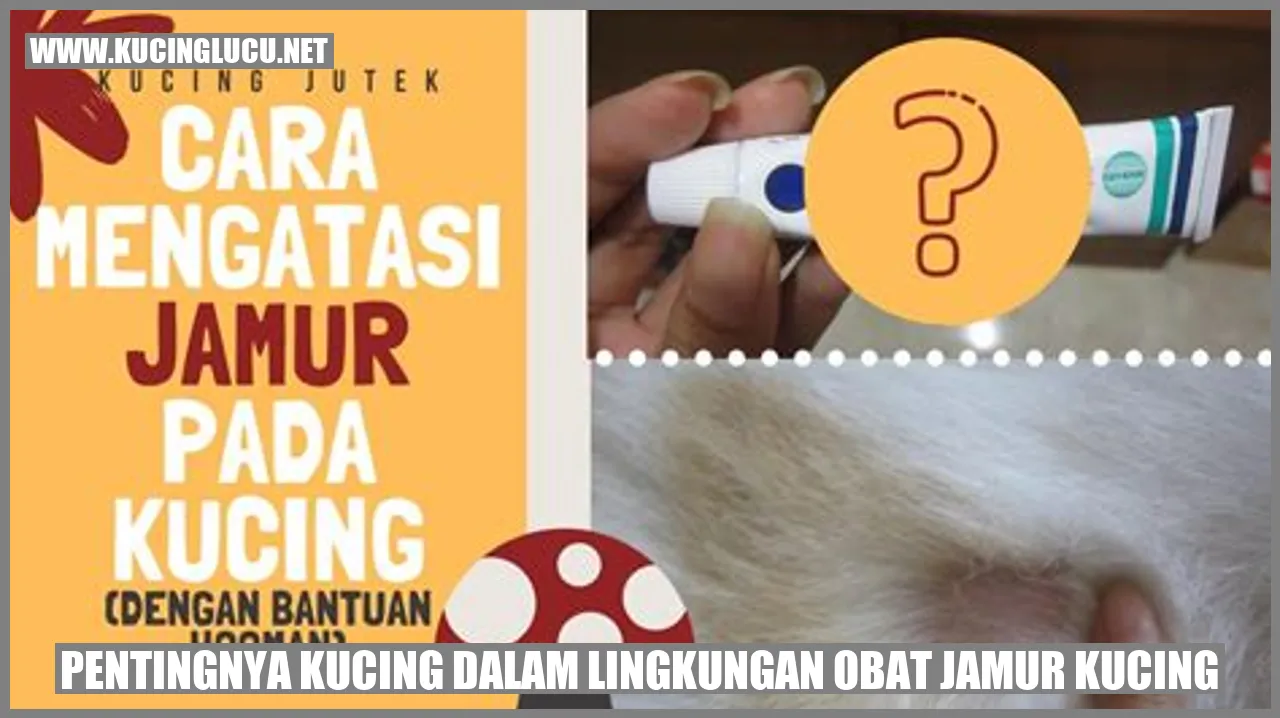 Gambar Kucing