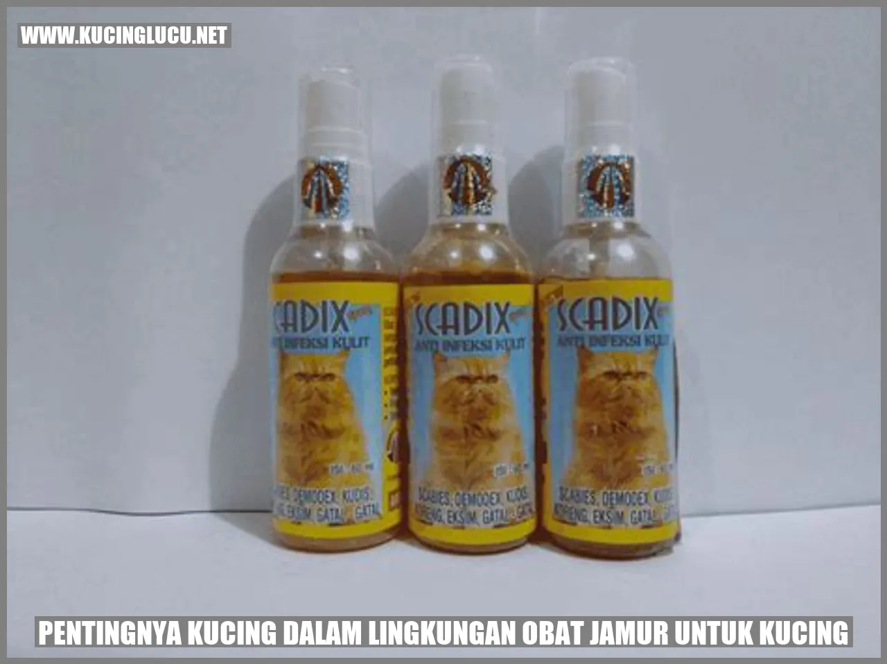 Kucing di dalam lingkungan obat jamur