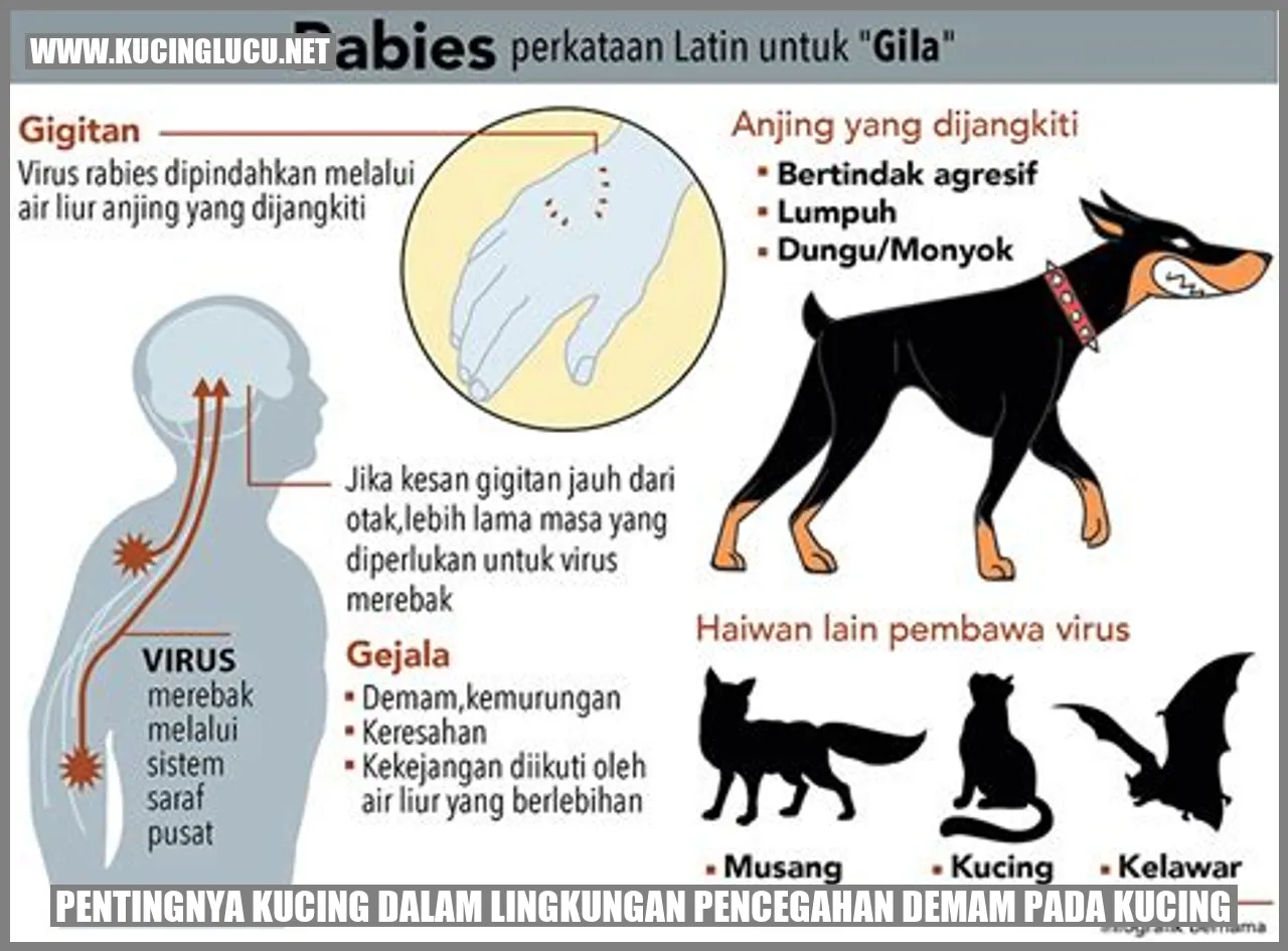 Pentingnya Kucing dalam Lingkungan pencegahan demam pada kucing