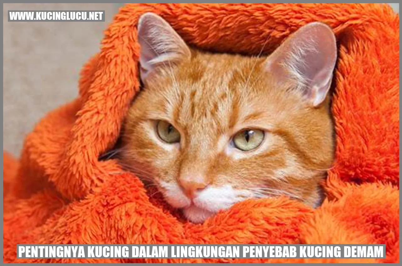 Kucing dalam Lingkungan