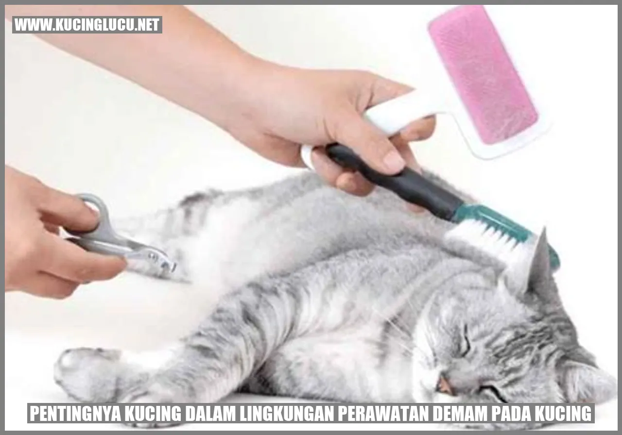 Gambar Kucing Sedang Beristirahat