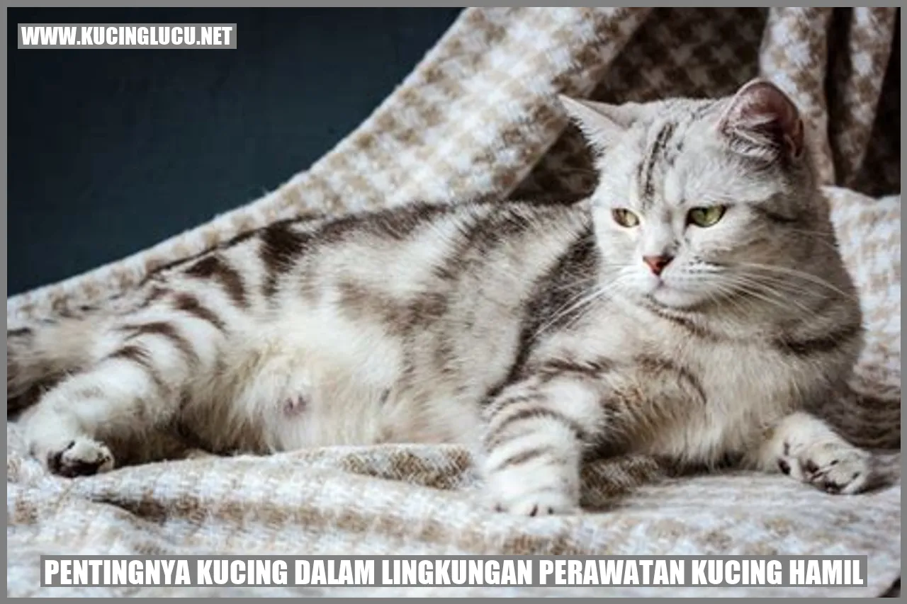 Kucing Hamil yang Bahagia