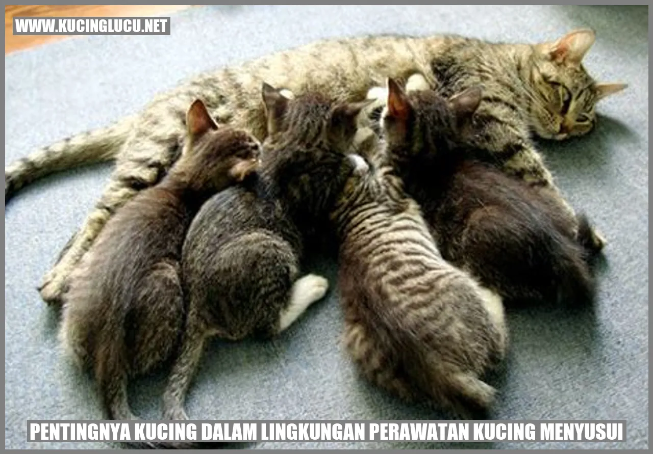 Gambar kucing menyusui