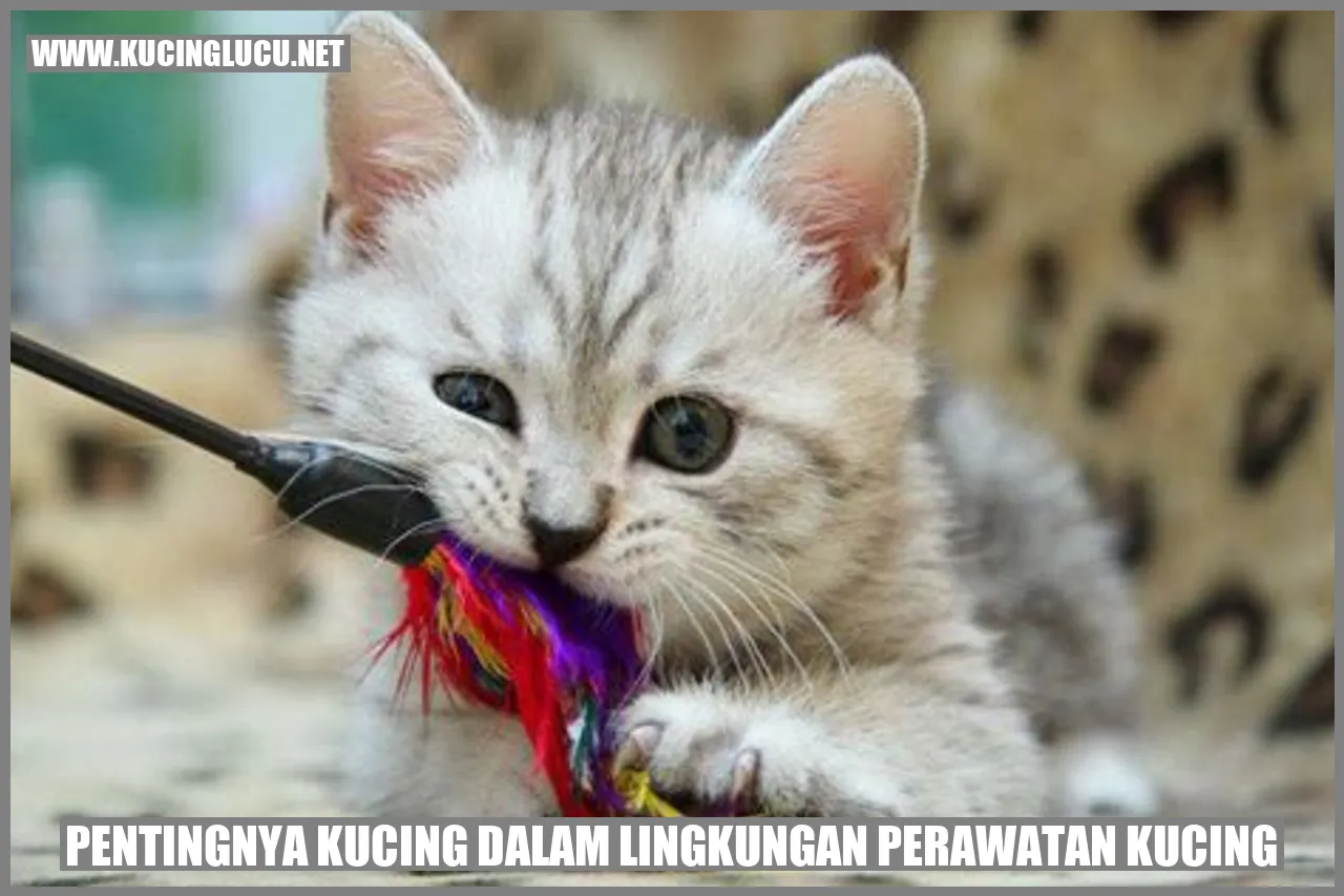 Pentingnya Kucing dalam Lingkungan Perawatan Kucing
