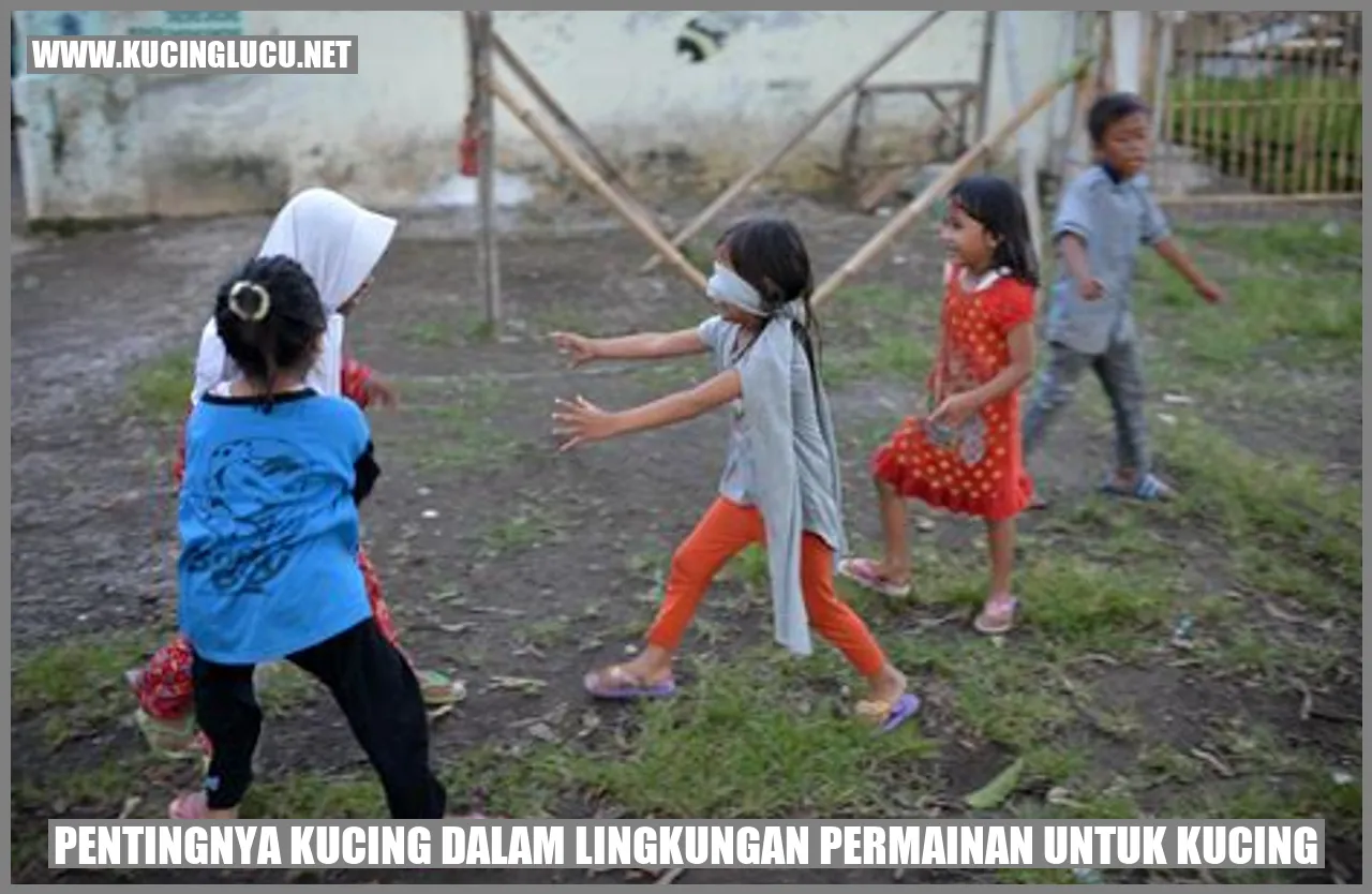 Gambar Kucing Sedang Bermain