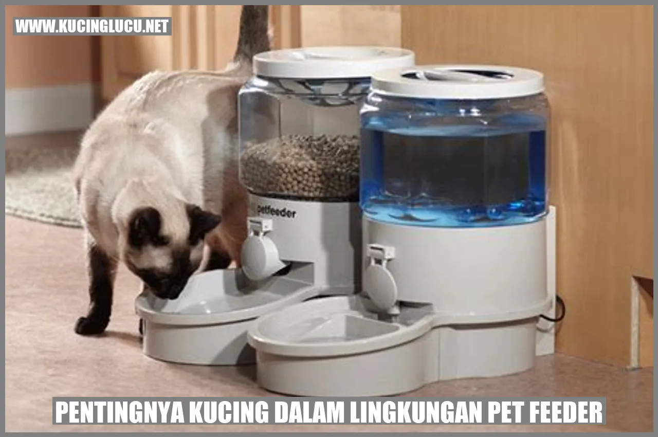 Gambar: Pentingnya Kucing dalam Lingkungan pet feeder