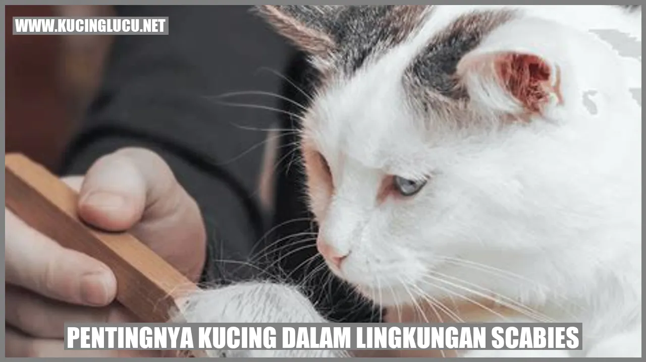 Gambar kucing yang menggemaskan