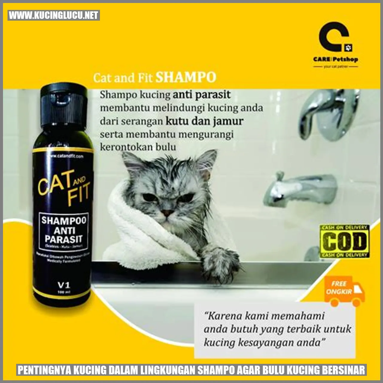 Pentingnya Kucing dalam Lingkungan Shampo Agar Bulu Kucing Bersinar