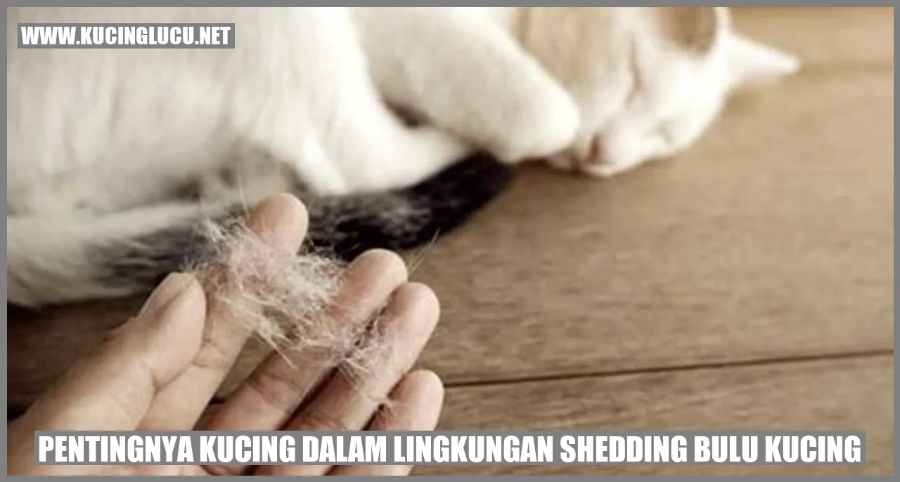 Kucing menumpahkan bulu