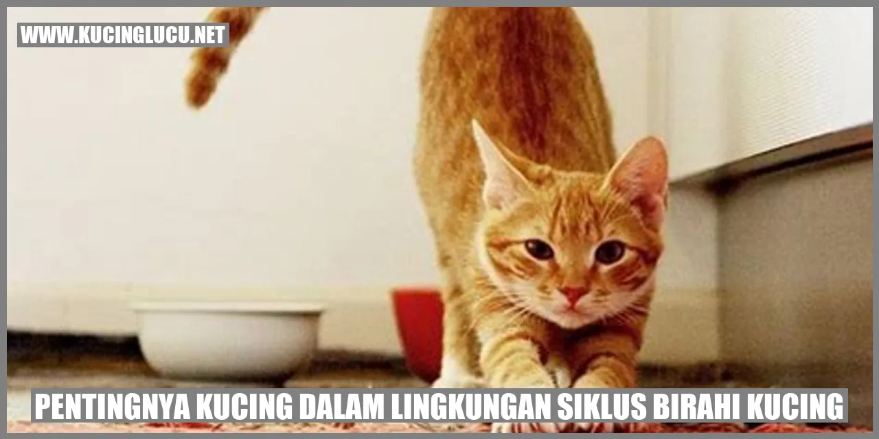 Pentingnya Kucing dalam Lingkungan Siklus Birahi Kucing