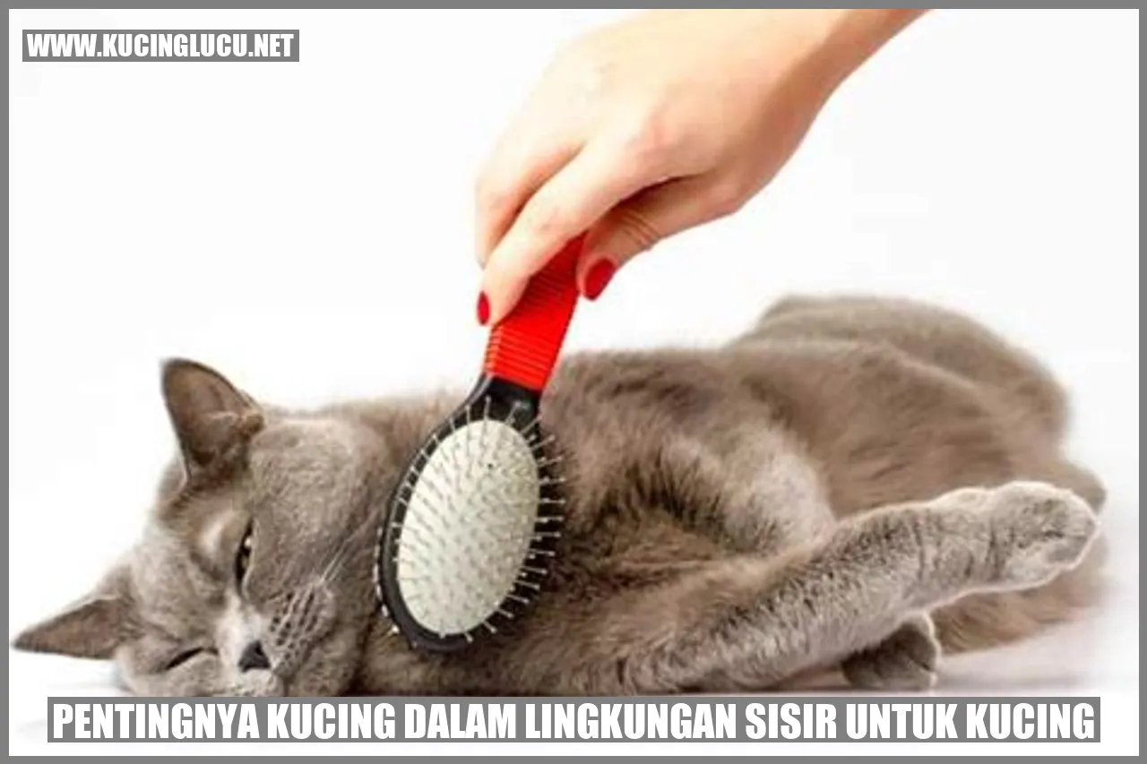 Kegunaan Kucing dalam Lingkungan Sisir untuk Felinus