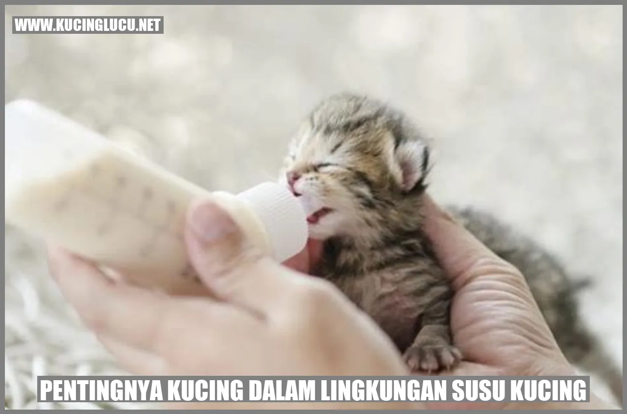 Kucing dalam Lingkungan susu kucing